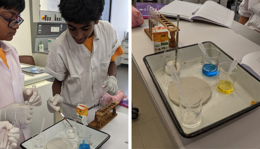grade-7-science-activity (7)
