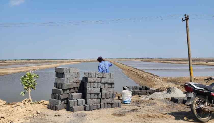 toilets-for-tomorrow-grade-5-impactful-initiative-in-kutch (3)